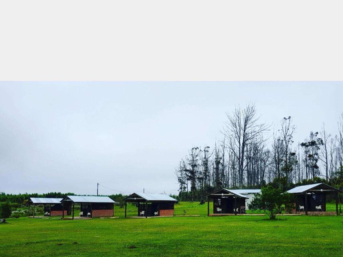 Cadeau Hiking And Accommodation Witelsbos Exterior foto