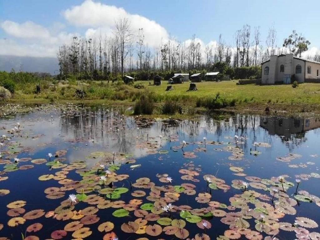 Cadeau Hiking And Accommodation Witelsbos Exterior foto